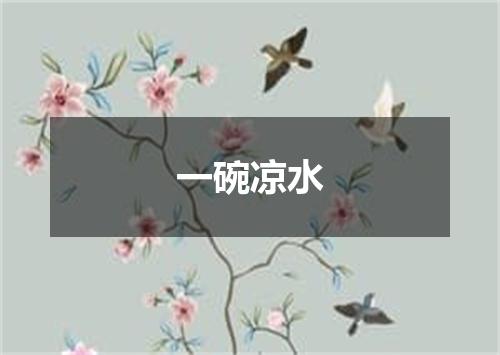 一碗凉水