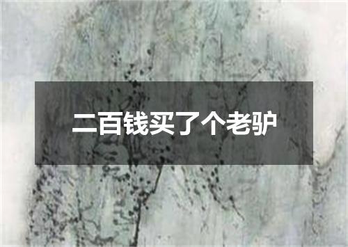 二百钱买了个老驴