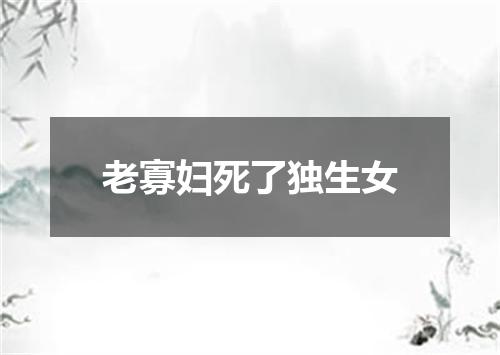 老寡妇死了独生女