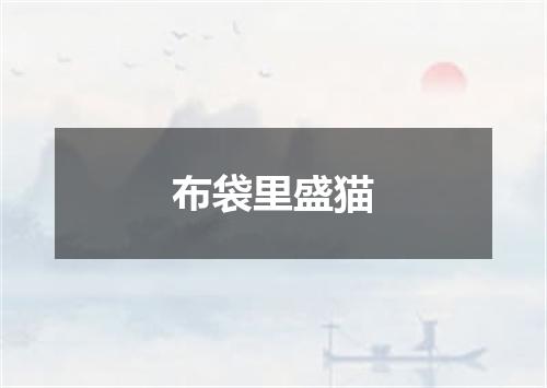 布袋里盛猫