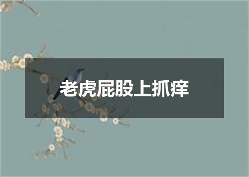 老虎屁股上抓痒