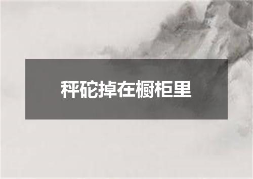 秤砣掉在橱柜里
