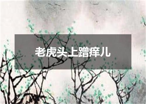 老虎头上蹭痒儿