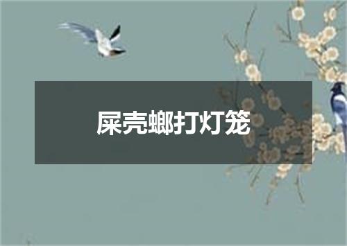 屎壳螂打灯笼