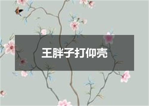 王胖子打仰壳