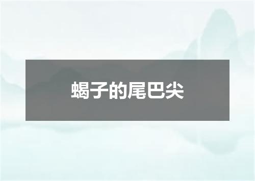 蝎子的尾巴尖