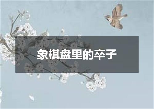 象棋盘里的卒子