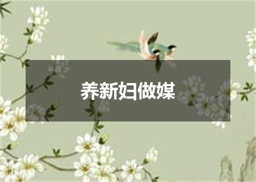 养新妇做媒