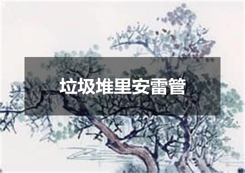 垃圾堆里安雷管