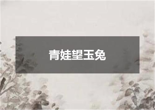 青娃望玉兔