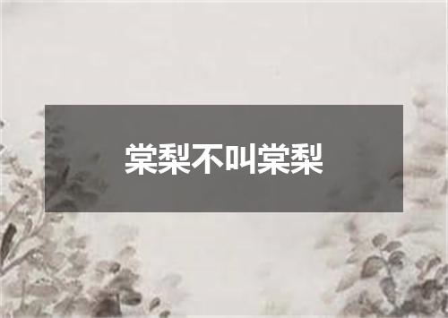 棠梨不叫棠梨