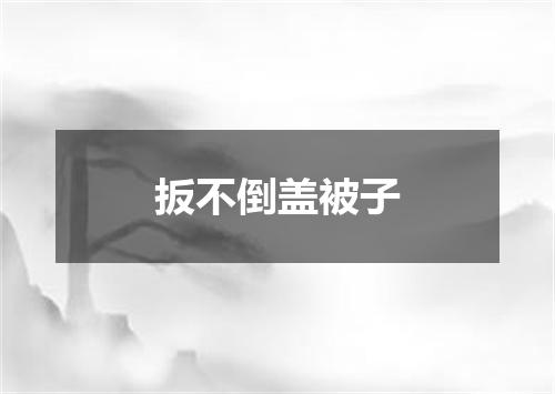 扳不倒盖被子