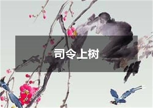司令上树