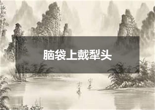 脑袋上戴犁头