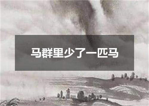 马群里少了一匹马