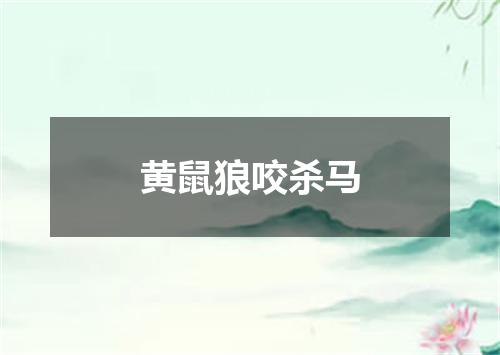 黄鼠狼咬杀马