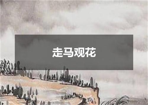 走马观花