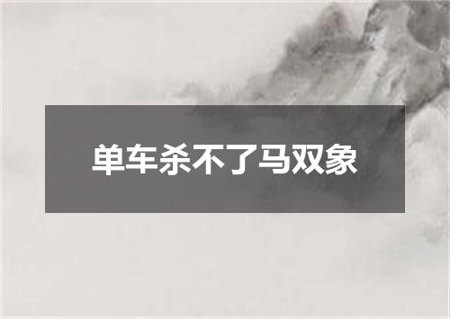 单车杀不了马双象