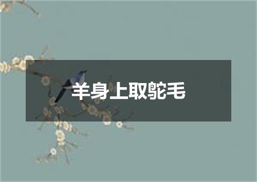 羊身上取鸵毛