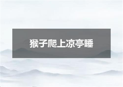 猴子爬上凉亭睡