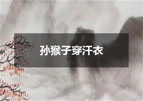 孙猴子穿汗衣