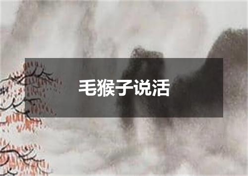 毛猴子说活