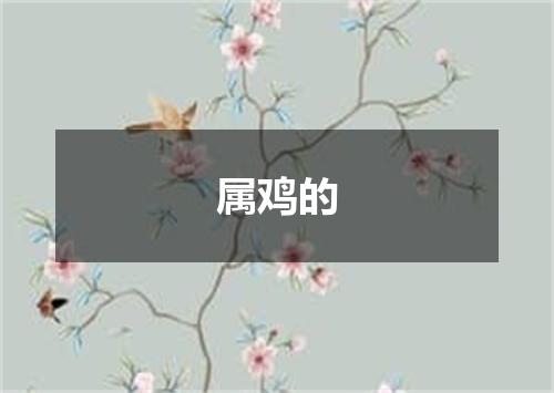 属鸡的
