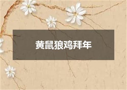 黄鼠狼鸡拜年