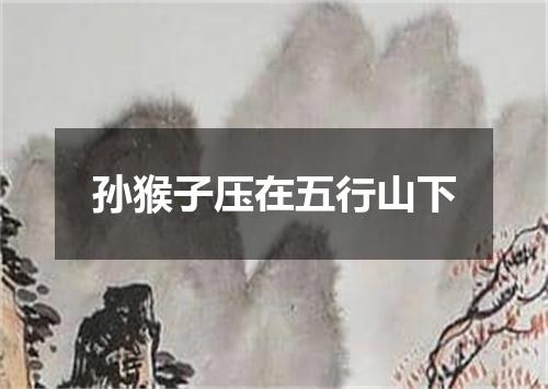 孙猴子压在五行山下