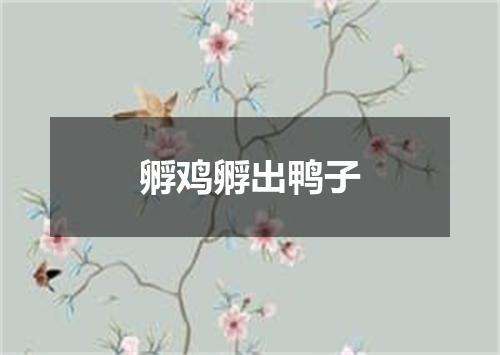 孵鸡孵出鸭子