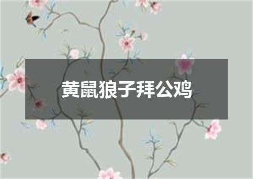 黄鼠狼子拜公鸡