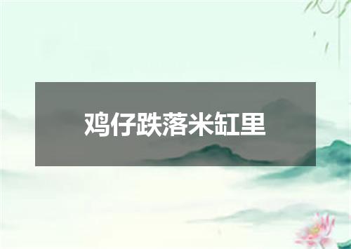 鸡仔跌落米缸里