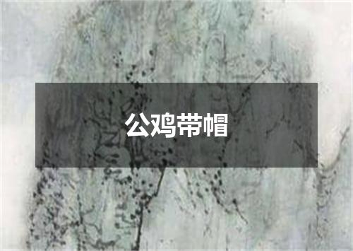 公鸡带帽
