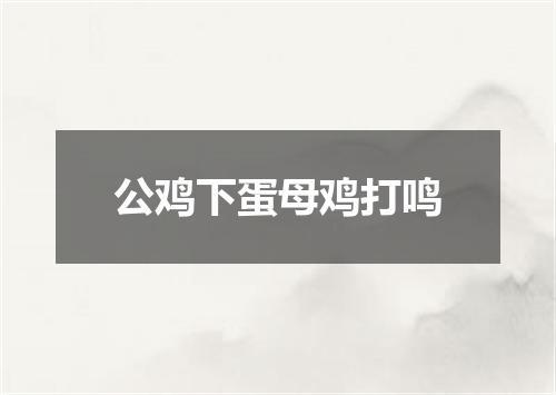 公鸡下蛋母鸡打鸣