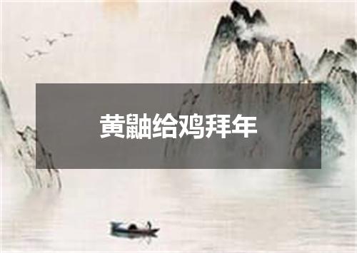 黄鼬给鸡拜年