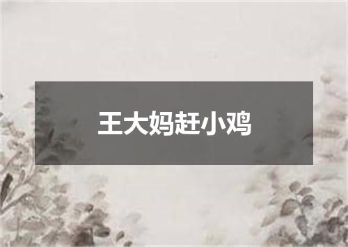 王大妈赶小鸡