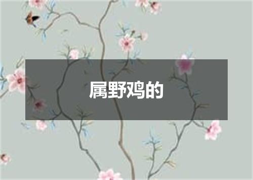 属野鸡的