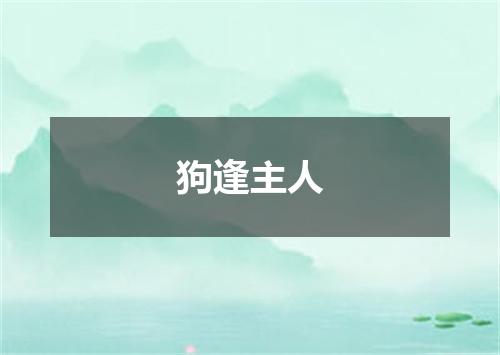 狗逢主人