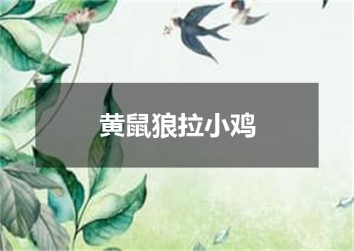黄鼠狼拉小鸡