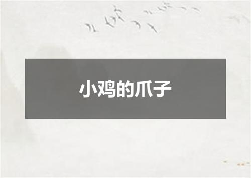 小鸡的爪子