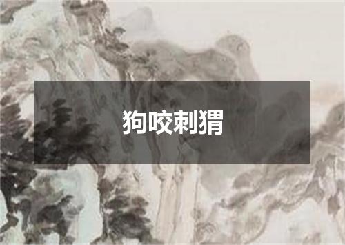 狗咬刺猬
