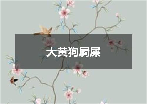 大黄狗屙屎