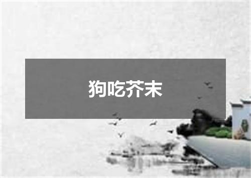 狗吃芥末