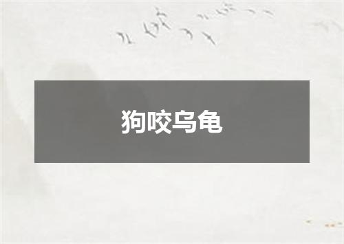 狗咬乌龟