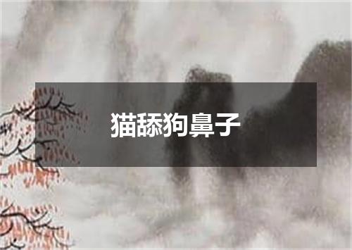 猫舔狗鼻子