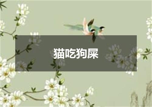 猫吃狗屎