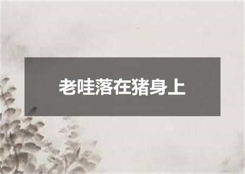 老哇落在猪身上