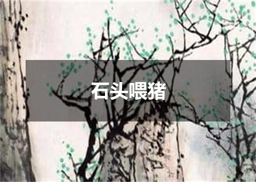 石头喂猪