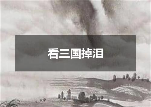 看三国掉泪