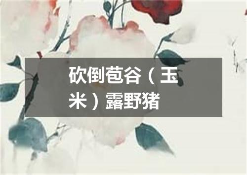 砍倒苞谷（玉米）露野猪